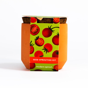 TINY TERRACOTTA: CHERRY TOMATO